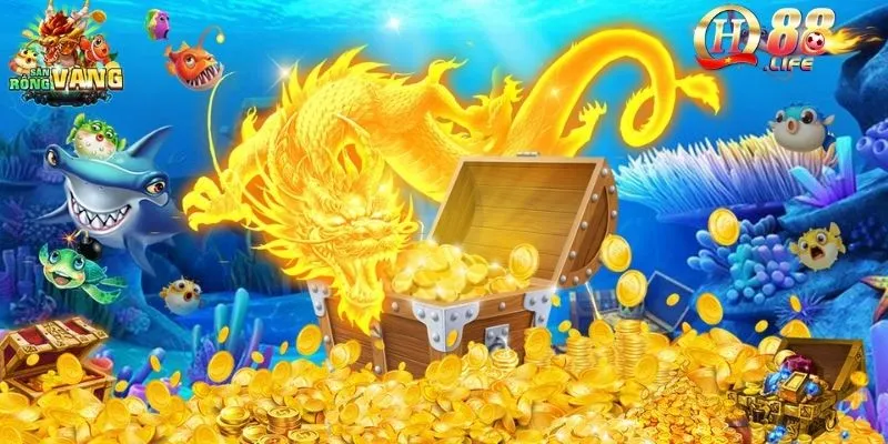 ban-ca-rong-vang-suc-hap-dan-va-su-loi-cuon-cua-“dai-duong”