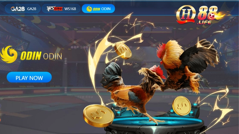 da-ga-peru-1