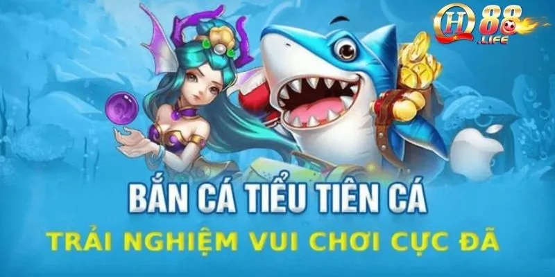 Tiểu tiên cá – Thế giới giải trí sống động cùng nàng tiên 4 ly-do-gi-game-ban-ca-tieu-tien-duoc-dong-dao-khach-hang-chon